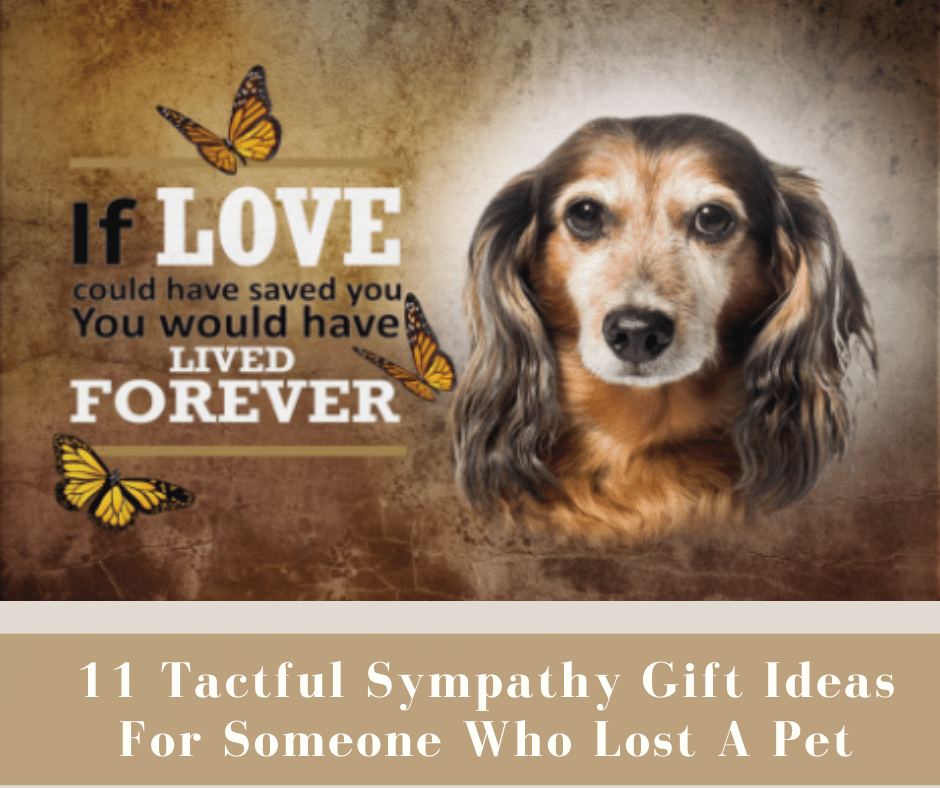 11 Tactful Sympathy Gift Ideas For Someone Who Lost A Pet