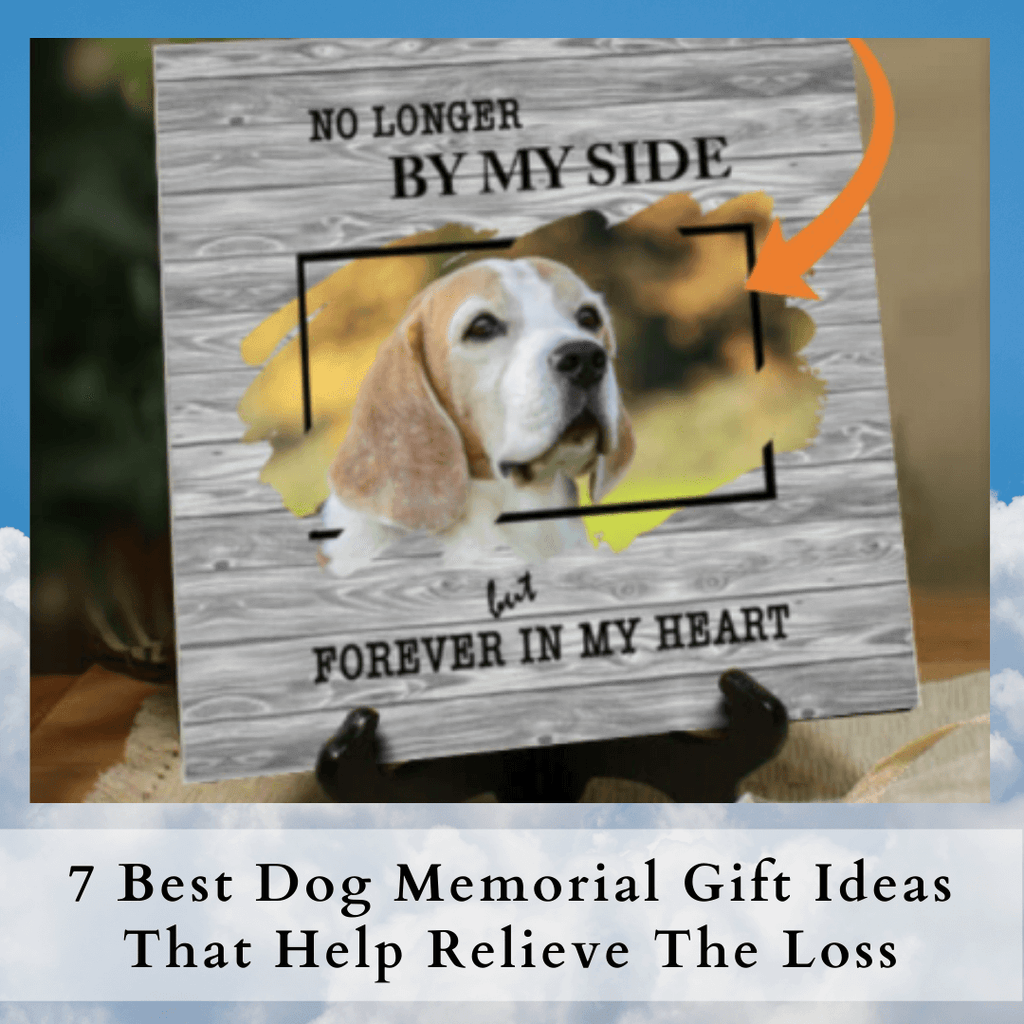 7 Best Dog Memorial Gift Ideas That Help Relieve The Loss